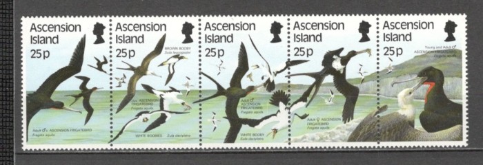 Ascension Island.1987 Pasari de apa-streif GA.255