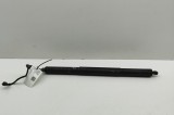 Amortizor haion dreapta AUDI Q5 FY 2024 OEM: 80A827851D | 31962390