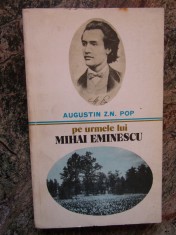 PE URMELE LUI MIHAI EMINESCU-AUGUSTIN Z. N. POP