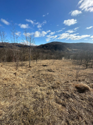 Vand teren extravilan in Prahova foto