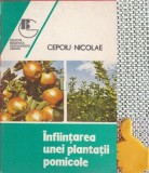 Infiintarea unei plantatii pomicole Nicolae Cepoiu
