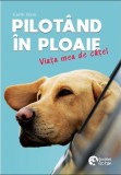 Pilotand in ploaie | Garth Stein