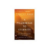 A Pilgrimage to Eternity: From Canterbury to Rome in Search of a Faith