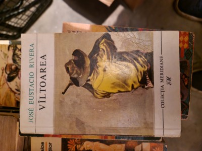 Viltoarea vintage foto