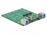 Convertor SATA / USB 3.1-B la M.2 / mSATA, Delock 62732