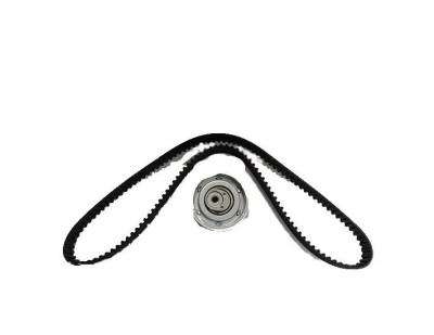 Kit distributie Audi A3 (8P), A4 (8D); Seat Alhambra (7V), Cordoba 2 (6L), Ibiza 4 (6J), Exeo (3R); Skoda Octavia 1 (1U), Fabia 1 (6Y), Superb 2 (1Z) foto