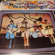 Vinil LP The Beatles – Strawberry Fields Forever (VG++)