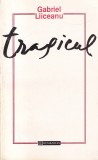 Gabriel Liiceanu - Tragicul