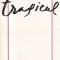 Gabriel Liiceanu - Tragicul