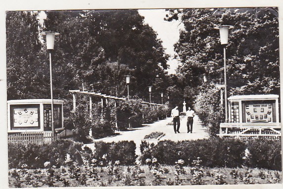 bnk cp Buzias - Vedere din parc - circulata