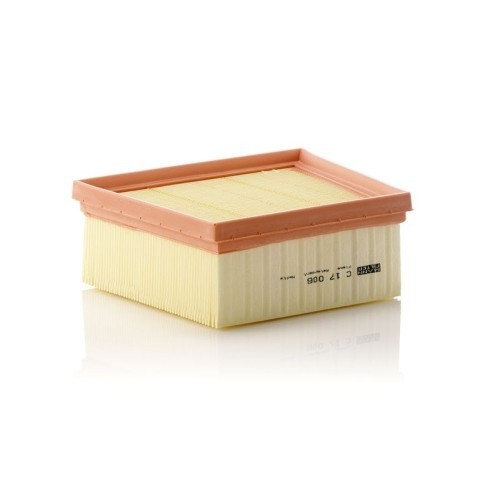 Filtru aer Mann-Filter C17006