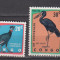 CONGO 1963 FAUNA MI.138,139,140,141MNH