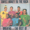 CD Sweet Honey In The Rock &lrm;&ndash; Breaths... The Best Of (NM), Pop