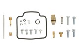 Kit reparatie carburator; pentru numarul de carburatoare 1 (pentru uz sportiv) pentru ARCTIC CAT ARCTIC CAT 500 2000-2000