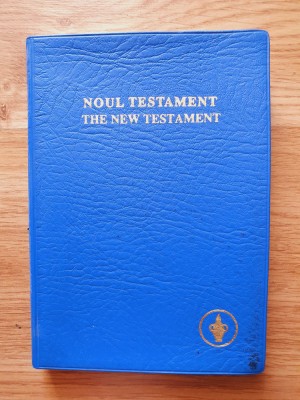 NOUL TESTAMENT - THE NEW TESTAMENT (Editie bilingva) foto