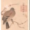 Carte postala Tokyo
