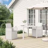 vidaXL Scaune de Dining pentru Grădină 2 pcs Alb și gri deschis PP 8000001