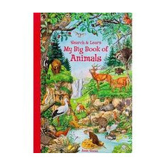 My Big Book of Animals Search and Learn board book nature animal activity book