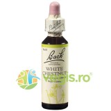Bach 35 White Chestnut (Castan Alb) Picaturi 20ml