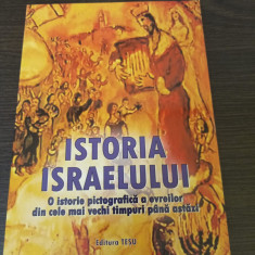 Istoria Israelului. O istorie pictografica a evreilor - Tesu Solomovici