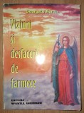 Georgeta Florea - Viziuni si desfaceri de farmece (vol. II)