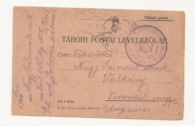 D3 Carte Postala Militara k.u.k. Imperiul Austro-Ungar ,1916 Reg. Torontal foto