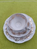 Portelan Bareuther Waldsassen Bavaria, frumos set de mic dejun