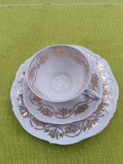 Portelan Bareuther Waldsassen Bavaria, frumos set de mic dejun