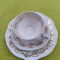 Portelan Bareuther Waldsassen Bavaria, frumos set de mic dejun