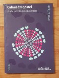 Calaul dragostei si alte povesti de psihoterapie de Irvin Yalom