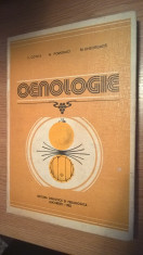 Oenologie - Valeriu Cotea; N. Pomohaci; M. Gheorghita (E.D.P., 1982) foto