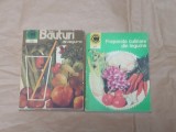 PREPARATE CULINARE DIN LEGUME + BAUTURI DIN LEGUME
