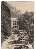 CPIB 22679 - CARTE POSTALA - BAILE HERCULANE, VEDERE DIN PARC, RPR, 1958