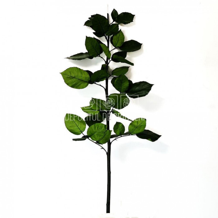 Cozi Criogenate RoseAmor 70cm pt Trandafiri Criogenati, Set 5 buc