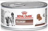 ROYAL CANIN Recovery Conserva pentru caini si pisici 195g