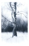 Tablou Canvas pe tema Copacul &icirc;n iarna eternă, artă spectrală și melancolică, 26 x 39 cm, CMCLASS