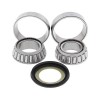 KIT RULMENTI DE JUG FURCA ALL BALLS RACING AB22-1056