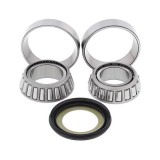 KIT RULMENTI DE JUG FURCA ALL BALLS RACING AB22-1056