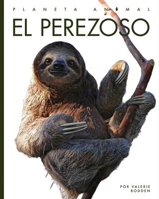 El Perezoso foto