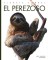 Foto  - 1