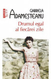 Drumul egal al fiecarei zile - Gabriela Adamesteanu