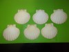 6 COCHILII de SCOICI NATURALE mari Saint Jacques pentru ICRE , FRUCTE DE MARE 3
