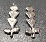 Rom&acirc;nia petlite pădurar argintii