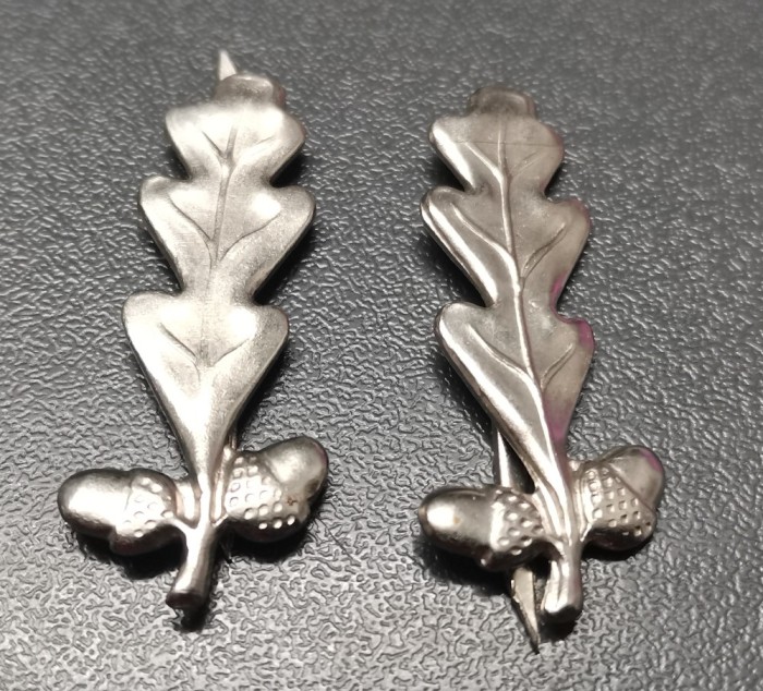 Rom&acirc;nia petlite pădurar argintii