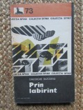 PRIN LABIRINT-GHEORGHE BUZOIANU