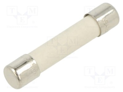 Siguranta fuzibila lenta, 15A, tensiune 250V AC, {{Dimensiune siguran&amp;amp;#355;a}}, BEL FUSE - GSA 15-R foto