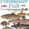 Ken Schultz&#039;s Field Guide to Freshwater Fish