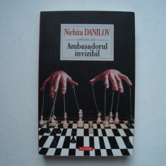 Ambasadorul invizibil - Nichita Danilov