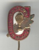 Insigna veche CAMPION al Colectivului Sportiv 1960