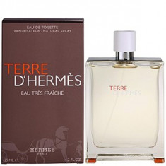 Hermes Terre D&amp;#039;Hermes Eau Tres Fraiche EDT Tester 125 ml pentru barbati foto